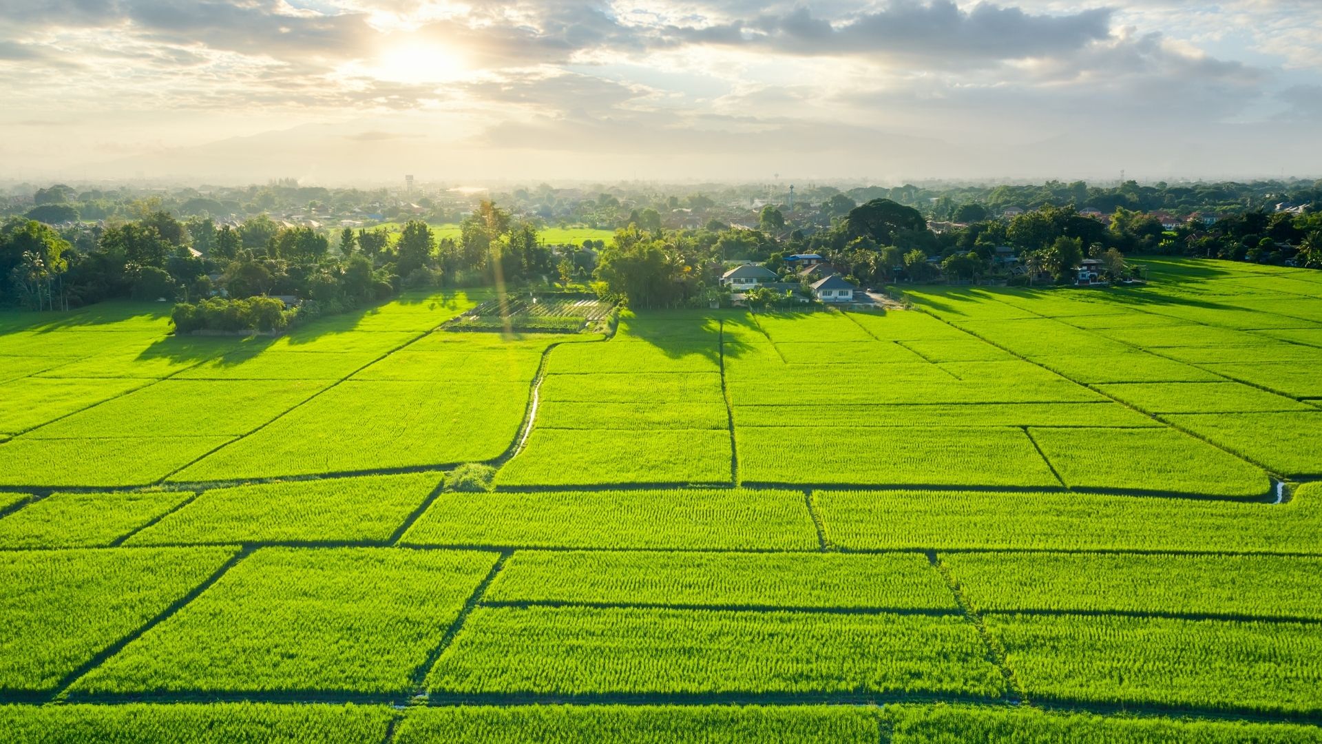 How to Resolve Land Boundary Disputes in Nepal: Legal Steps